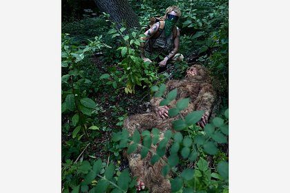 Фото с ленты https://lenta.ru/rss